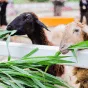 搜索 - 博鱼